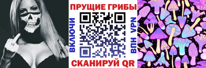 купить наркотик  Донецк  Псилоцибиновые грибы ЛСД 